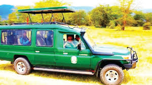 Tanzania Wildlife Safari